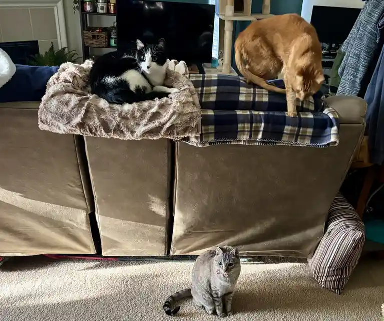 Good Morning! Our Tummies Are Ready for Breakfast
