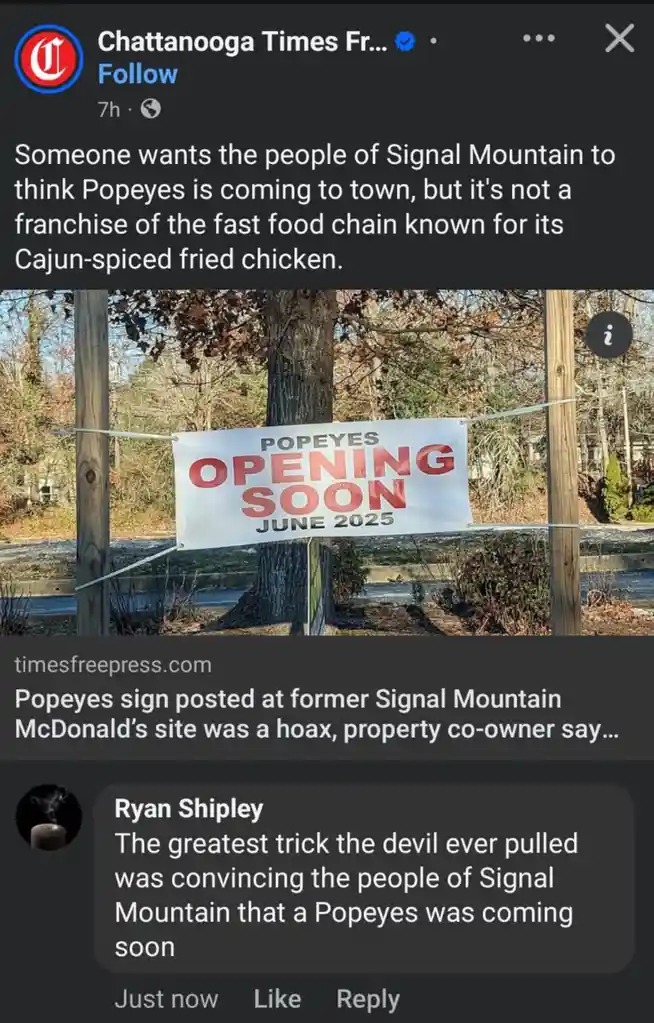Awwww, They Will Never Experience the Joy of Loving Popeyes Chicken