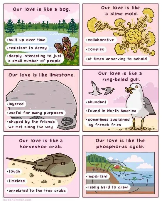 A six-panel comic compares romantic relationships to various natural phenomena: a bog, slime mold, limestone, a ring-billed…