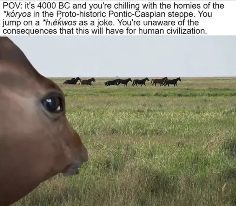 A close-up of a horse's head on the left side of the frame, looking toward a herd of horses running across a vast grassy…