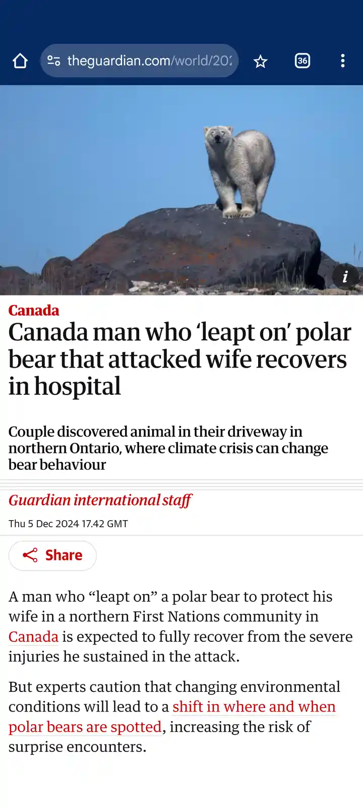 A screenshot of a Guardian news article shows a polar bear standing atop a large rock under a clear blue sky. The headline…
