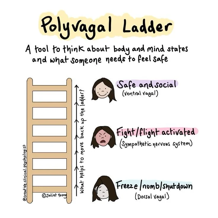A hand-drawn diagram titled 'Polyvagal Ladder' shows a ladder with three rungs, each labeled with a different human…