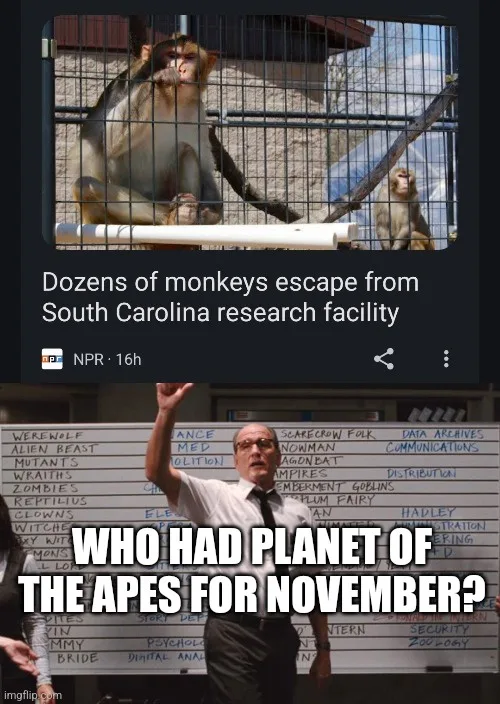 The image is a two-panel meme. The top panel shows a news headline screenshot from NPR about monkeys escaping a South…