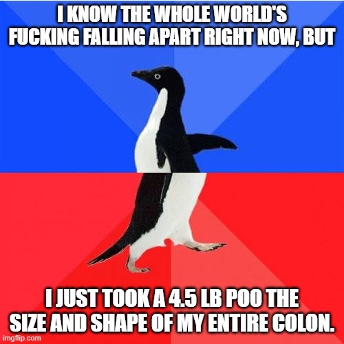 An image of an Adélie penguin walking against a blue and red background, with bold white text overlaid in two sections. The…