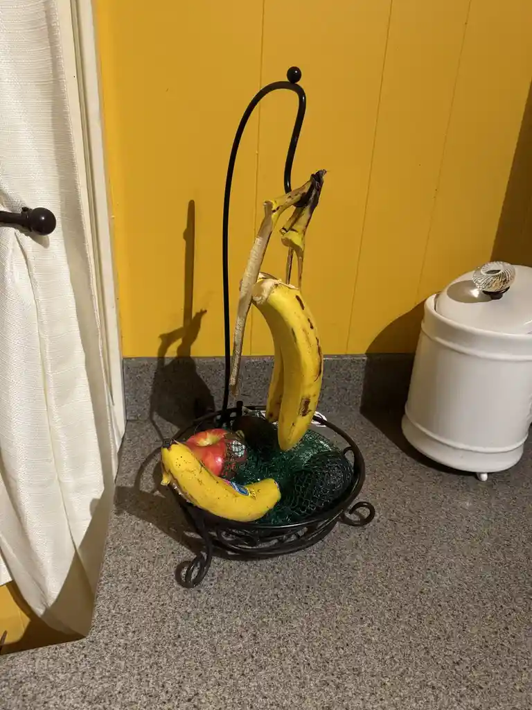 A black metal fruit stand on a speckled countertop holds bananas, an apple, and avocados in a green mesh bag. One banana is…
