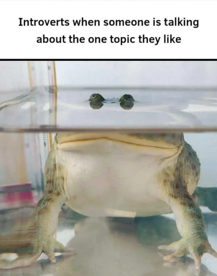 A large toad is mostly submerged in water within a clear container, with only its eyes and the top of its head visible above…