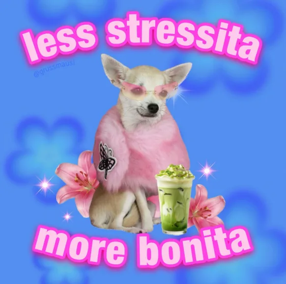 A small chihuahua wearing pink sunglasses and a fluffy pink sweater sits against a blue background with floral patterns and…