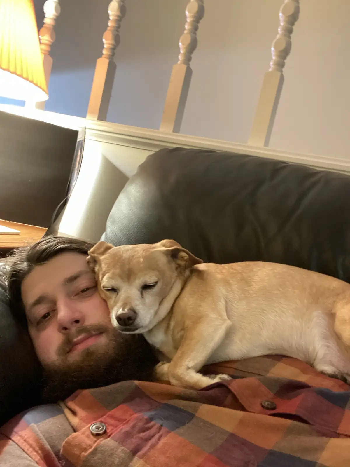 A man with a beard and a plaid shirt lies in bed next to a tan dog, both appearing sleepy and resting their heads together…
