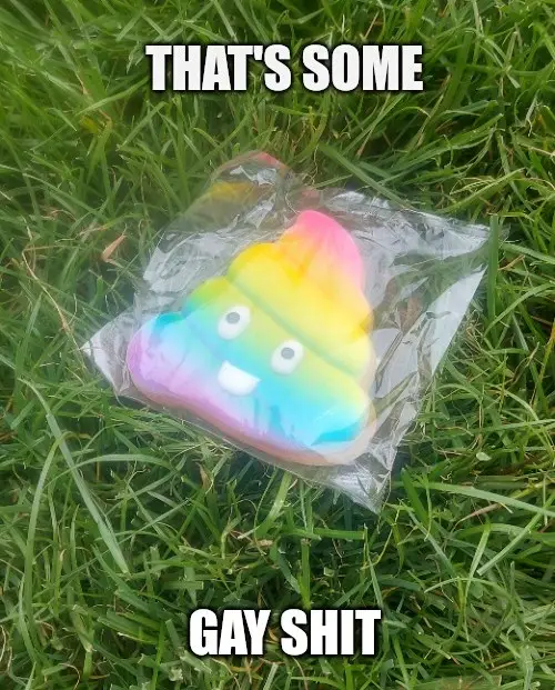 A rainbow-colored, smiling poop emoji-shaped squishy toy in a clear plastic bag lies on green grass. The text overlaid in…