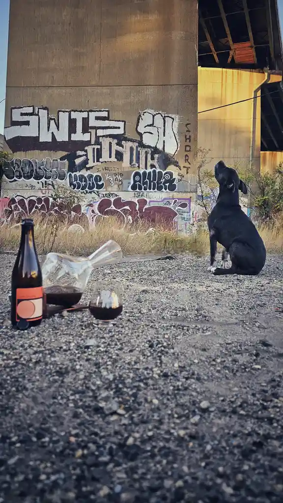 A black dog sits on gravel under a graffiti-covered concrete bridge, looking upward. In the foreground, a bottle, decanter…
