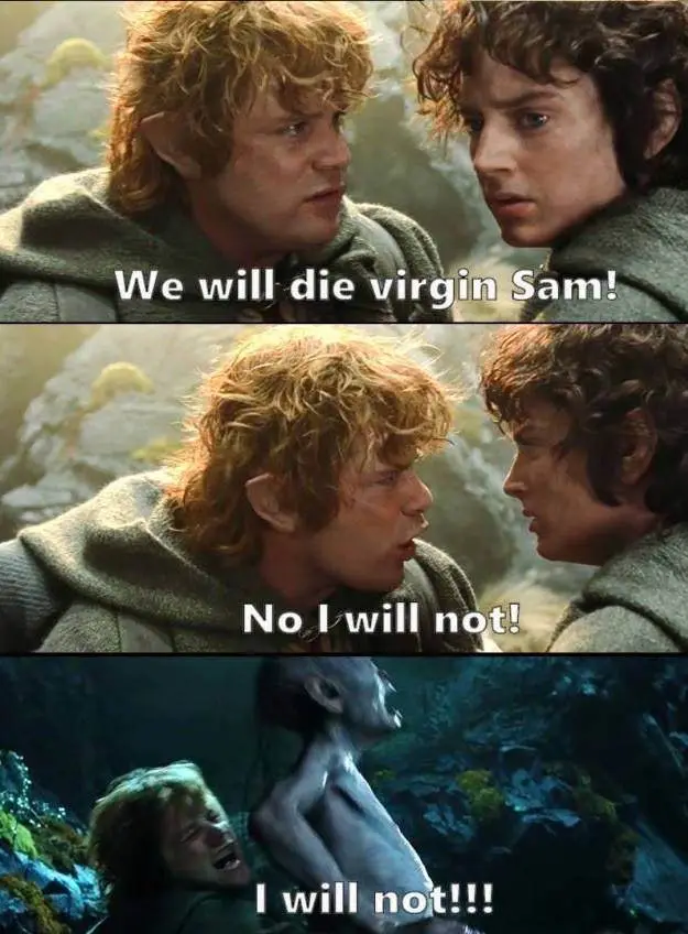 A three-panel meme from 'The Lord of the Rings' showing Frodo and Samwise Gamgee. In the first panel, Frodo says 'We will…