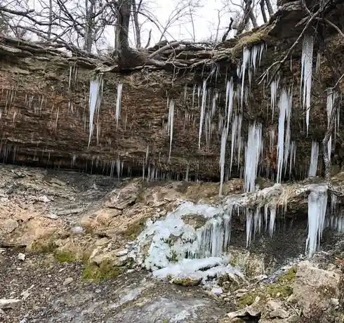 A natural rock cliff face covered in numerous long, clear icicles hanging from bare tree branches and rock ledges, with a…