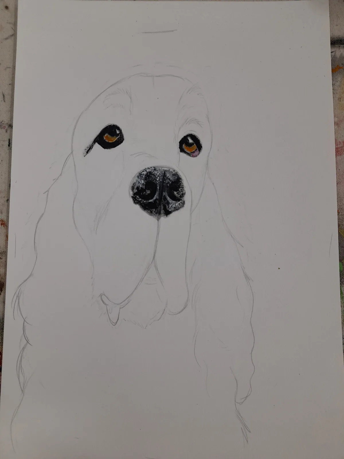 A partially completed pencil drawing of a dog's face on white paper, with only the eyes and nose colored in. The eyes are…