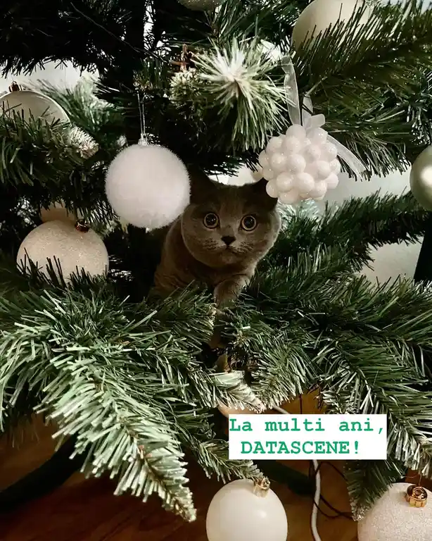Happy Holidays to you all!
