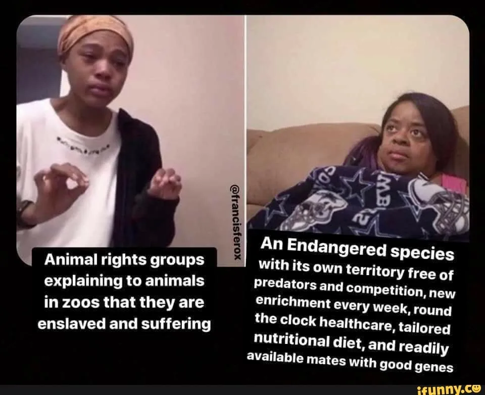 The meme features two side-by-side images of Black women with contrasting expressions. The left image shows a woman with a…
