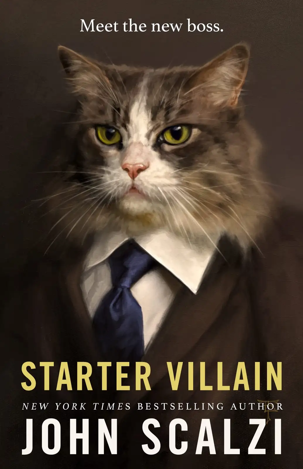 A digitally altered portrait of a fluffy, grumpy-looking cat wearing a dark suit, white collared shirt, and blue tie, styled…
