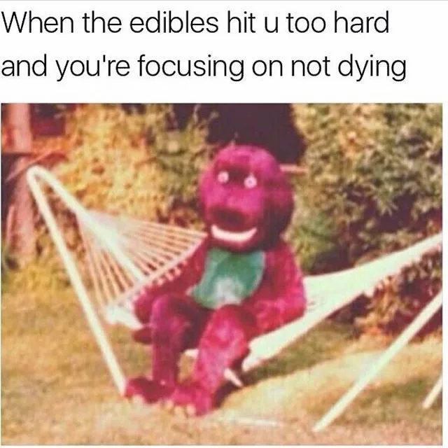 A blurry, vintage-style photo shows a purple Barney the Dinosaur plush toy sitting upright in a white hammock outdoors. The…