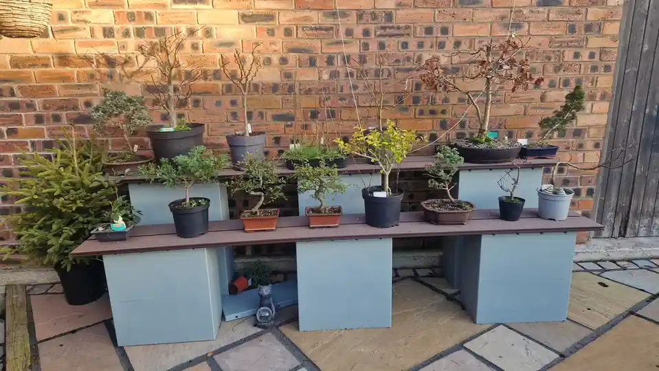 A row of potted bonsai trees and small plants arranged on two-tiered wooden benches against a brick wall, with the overlaid…