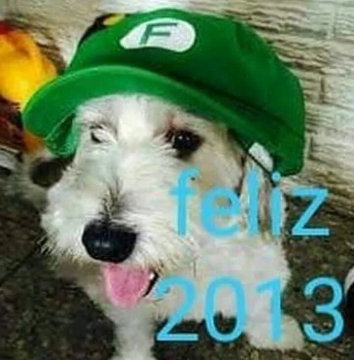 A white dog with its tongue out wears a green cap with a white 'F' logo, overlaid with blue text reading 'feliz 2013'. The…