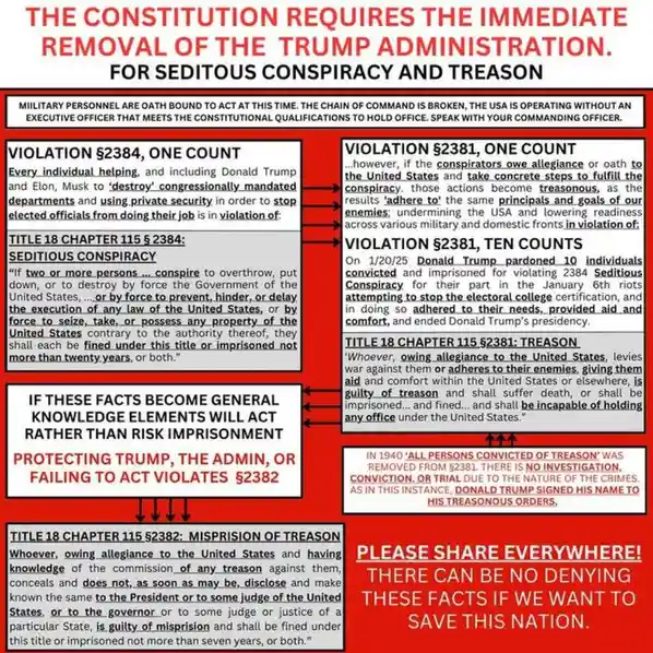 A red-and-white infographic presents a legal argument claiming Donald Trump and Elon Musk violated U.S. Constitution Title…