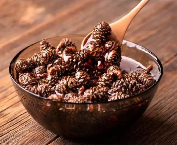 A glass bowl filled with pinecones submerged in a dark, viscous liquid, with a wooden spoon lifting a pinecone covered in…