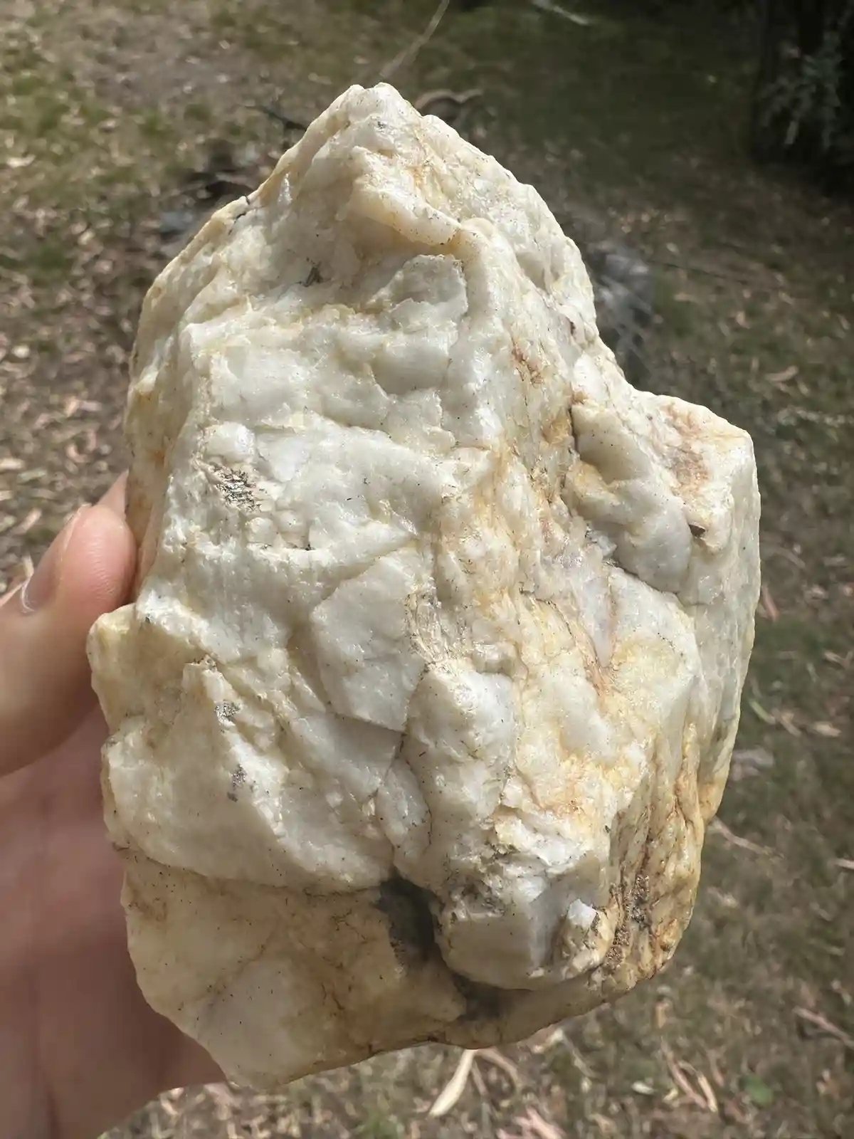 A hand holds a large, irregularly shaped white rock with rough, textured surfaces and some yellowish-brown staining, set…