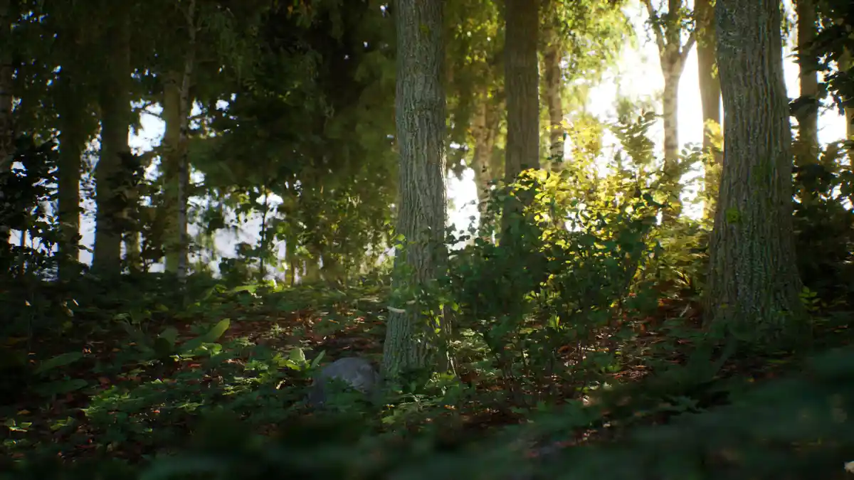 A serene forest scene with tall trees, dappled sunlight filtering through leaves, and a mossy ground covered in foliage…