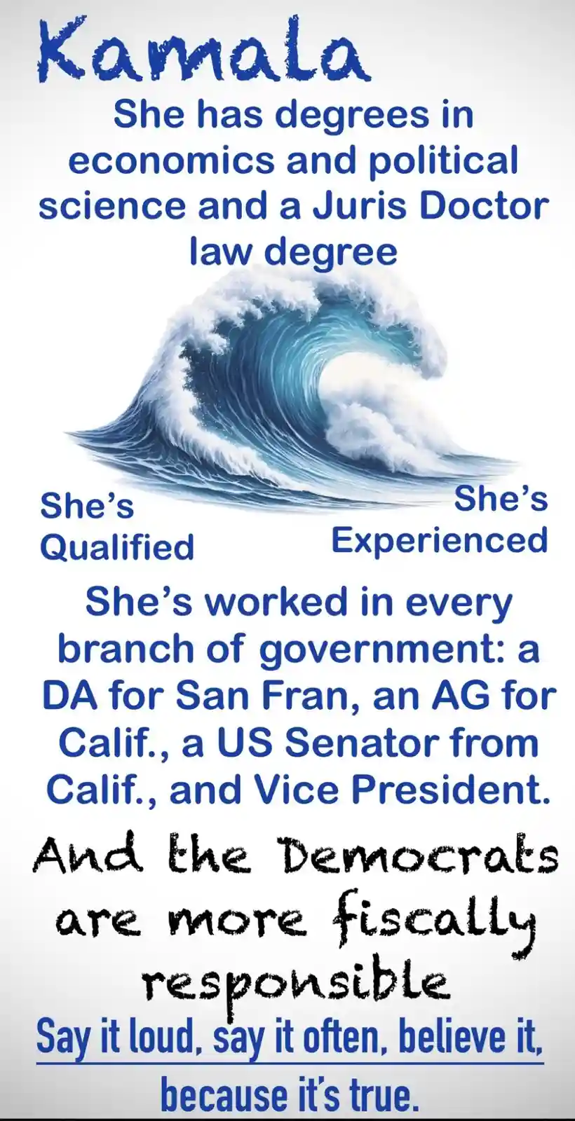 No other candidate in the world matches Kamala Harris's impressive qualifications for the presidency.
