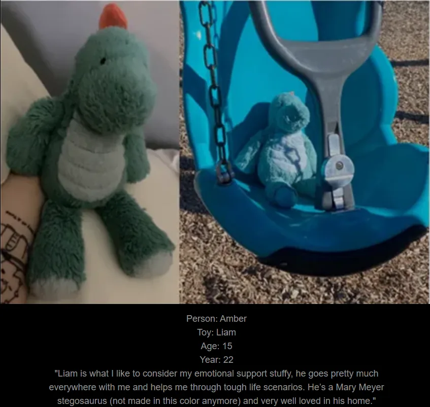 Day 760: Join me on a journey to my website, www.saidtheskinhorse.com, where we celebrate the cherished bond with our beloved childhood toys. Meet Liam, our latest addition!