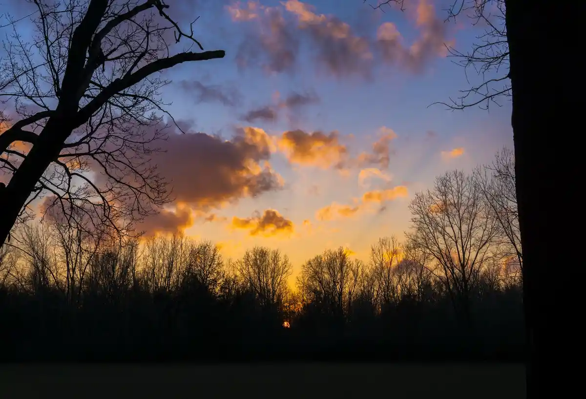 A serene sunset photo with silhouetted bare trees framing a sky painted with orange, yellow, and purple clouds. The sun is…