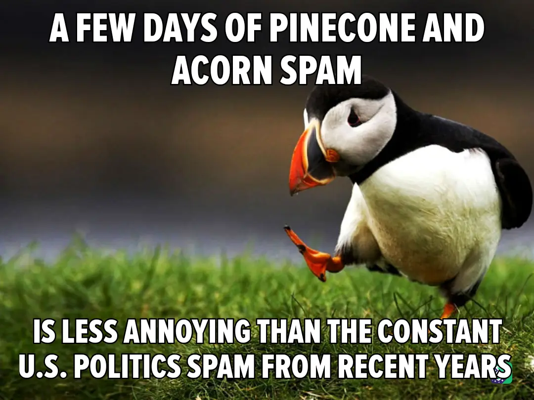 A close-up photo of a puffin standing on green grass, looking slightly annoyed or exasperated. The image has white text…