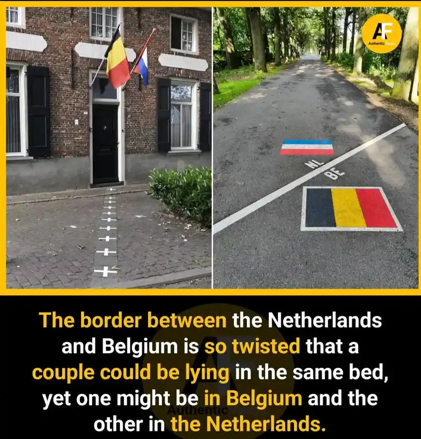 The image is split into two panels. The left shows a brick building with both the Belgian and Dutch flags flying, and a…