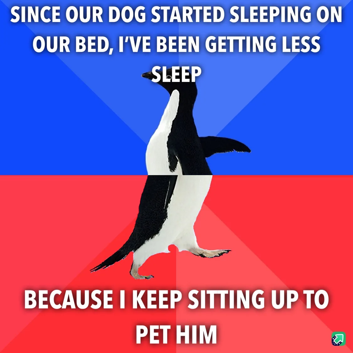 A penguin stands centered against a blue and red background, with white text overlaid in two sections. The top text reads…