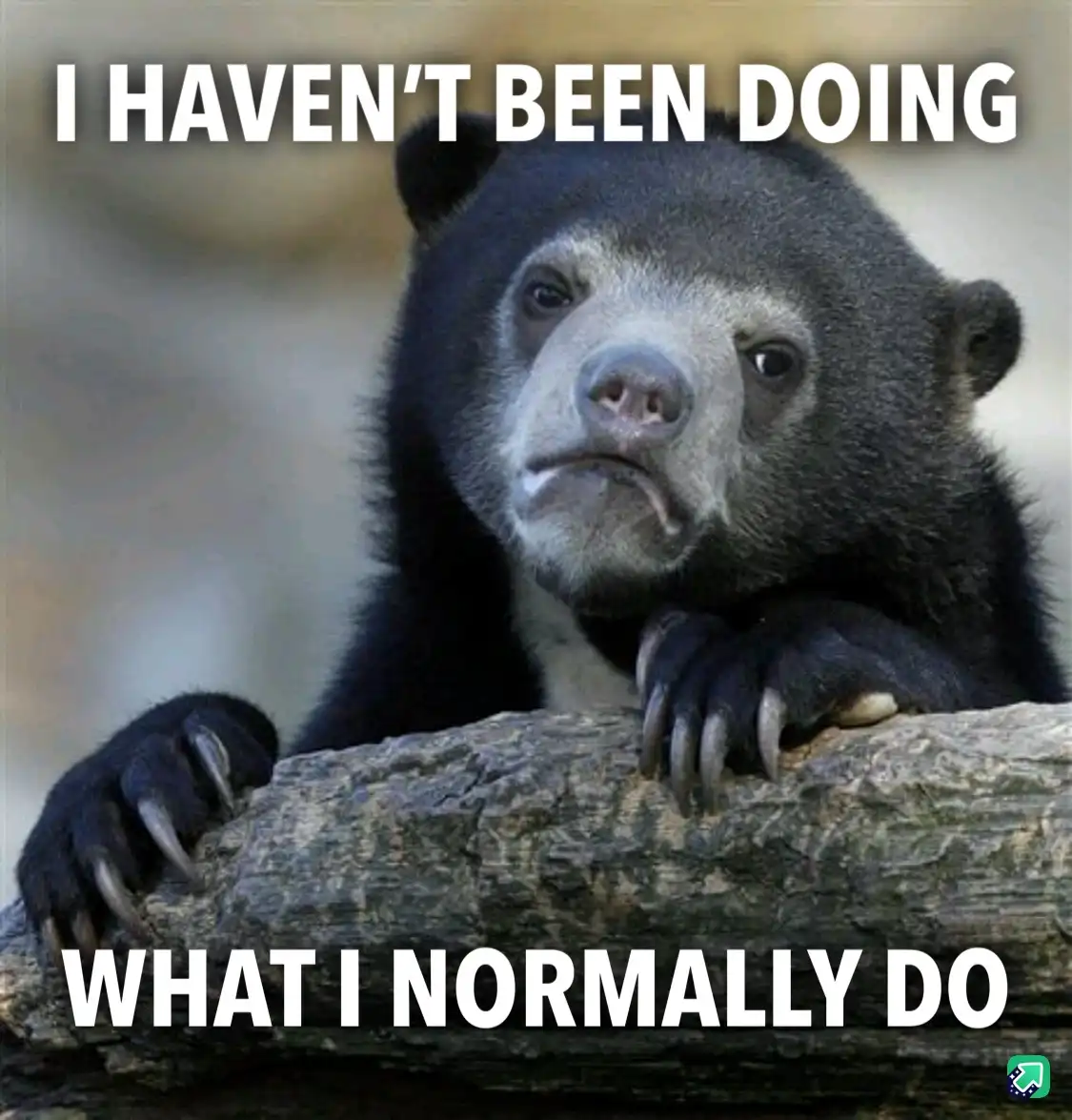 A close-up photo of a sad-looking spectacled bear resting its paws on a log, with white bold text overlaid at the top…