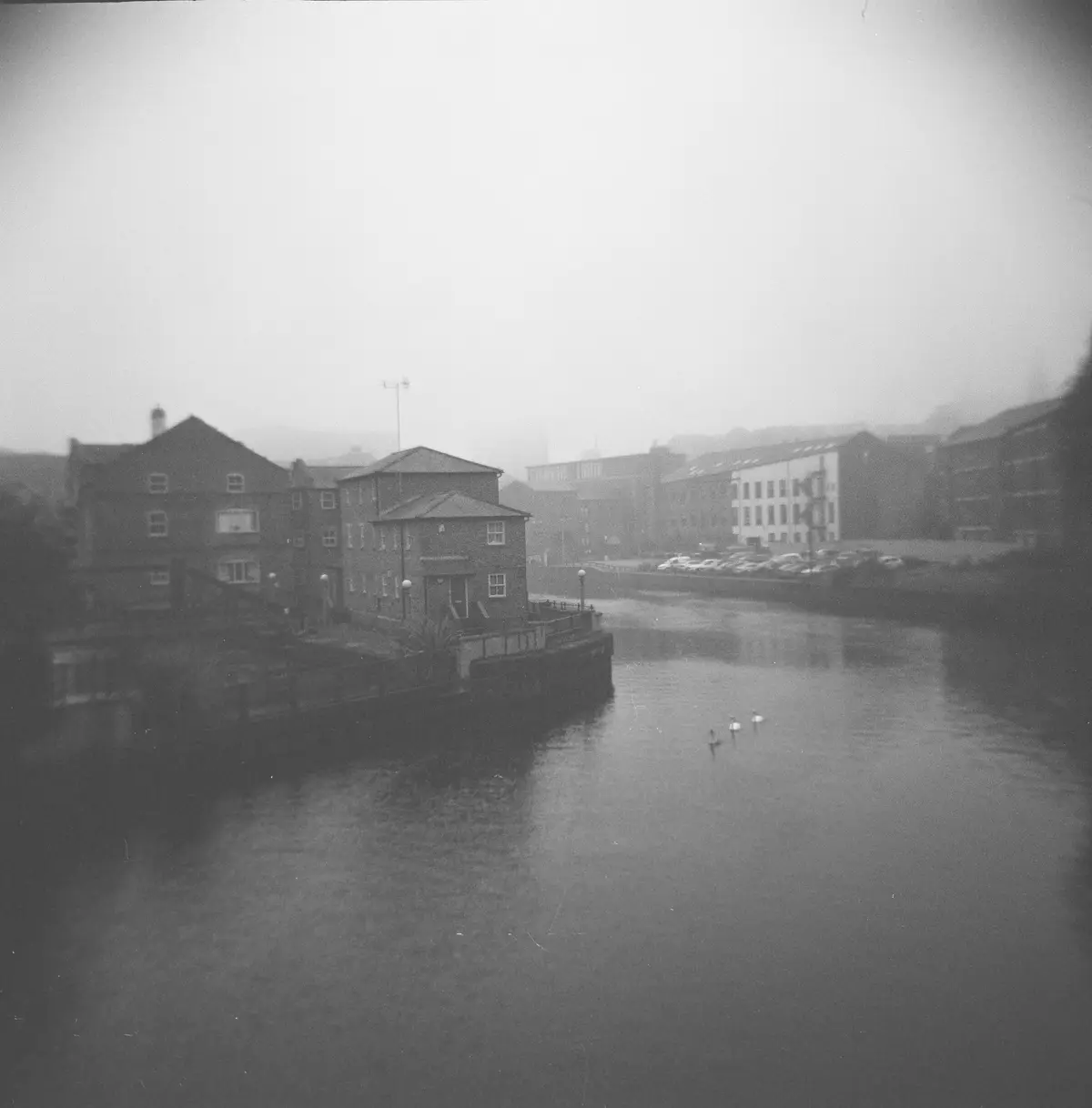 A grainy, black-and-white photograph shows a foggy river scene with buildings lining the banks and three swans swimming in…