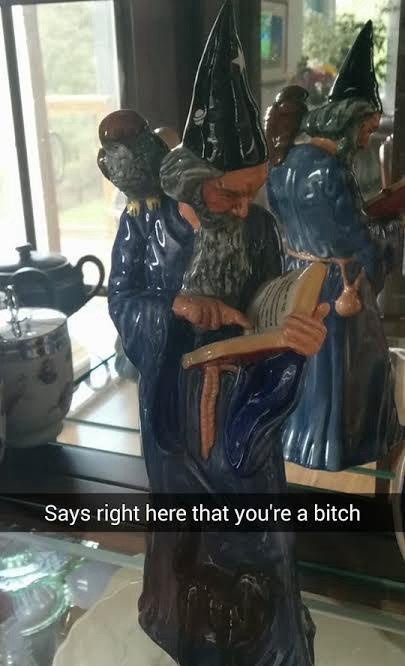 A ceramic figurine of a wizard with a long beard and pointed hat is shown reading a book. The overlaid text reads 'Says…