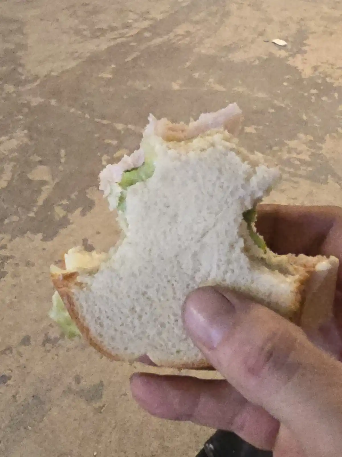 A hand holds a partially eaten sandwich with white bread, lettuce, and meat, revealing mostly empty bread. The overlaid text…