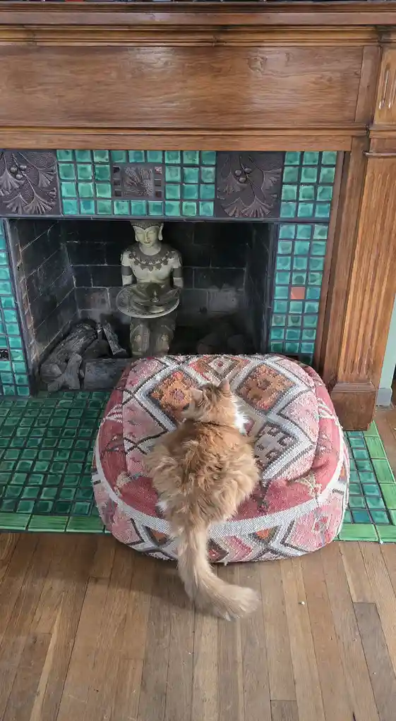 Captivated and spellbound.