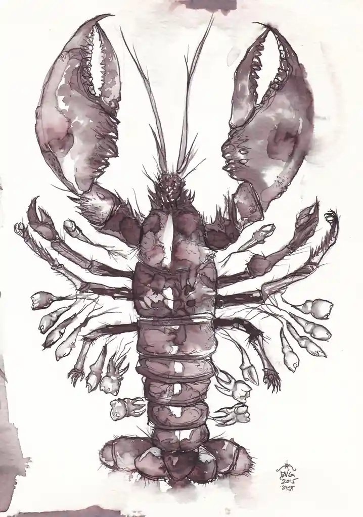 A watercolor and ink illustration of a lobster with a human face subtly drawn on its right claw, rendered in shades of brown…