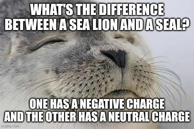 A close-up image of a seal's face, eyes closed with a smug or satisfied expression, overlaid with bold white text posing a…