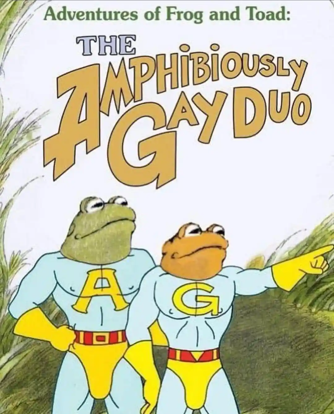 The image shows the cover of a fictional book titled 'Adventures of Frog and Toad: THE AMPHIBIOUSLY AGAY DUO'. It features…
