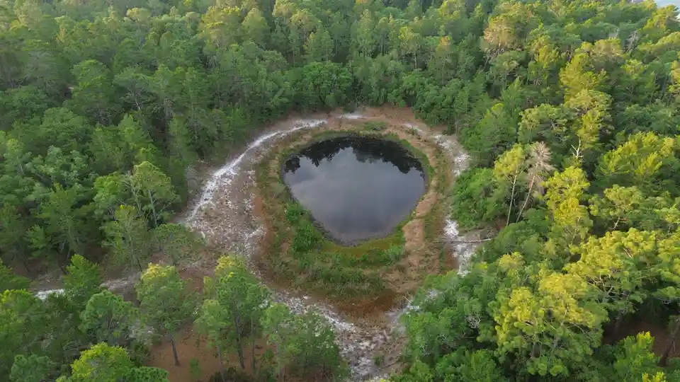 An aerial drone photo shows a perfectly circular pond surrounded by dense green pine trees, with a narrow dirt path…
