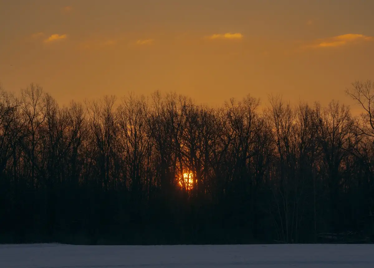 A serene winter sunset with bare trees silhouetted against an orange sky, the sun peeking through branches over a snowy…