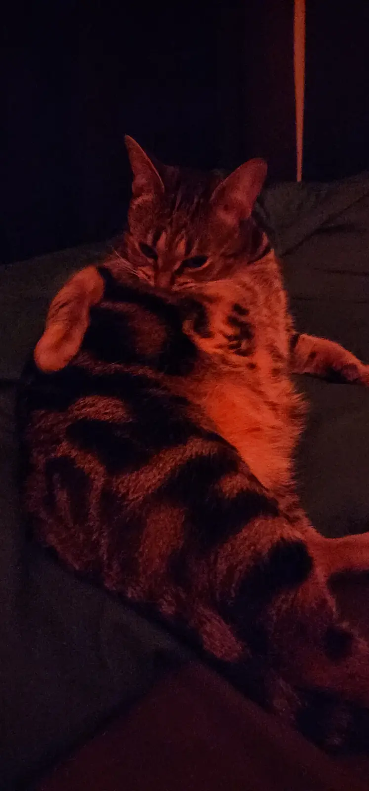 Caught in the Act: Grooming Gone Wrong!