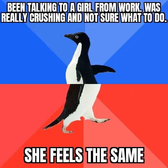 A penguin stands in the center of the image, split by a blue-red diagonal background. The top text reads 'BEEN TALKING TO A…