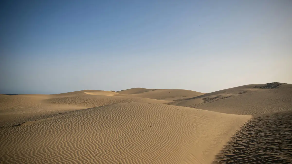 Vast expanse of golden sand stretches to the horizon, undulating dunes rising like giants from the desert floor, their peaks…