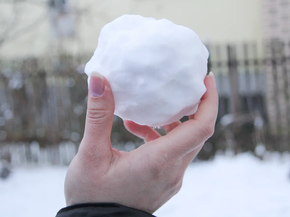 A hand holds up a large, roughly spherical snowball against a snowy outdoor background with blurred trees and fence. The…