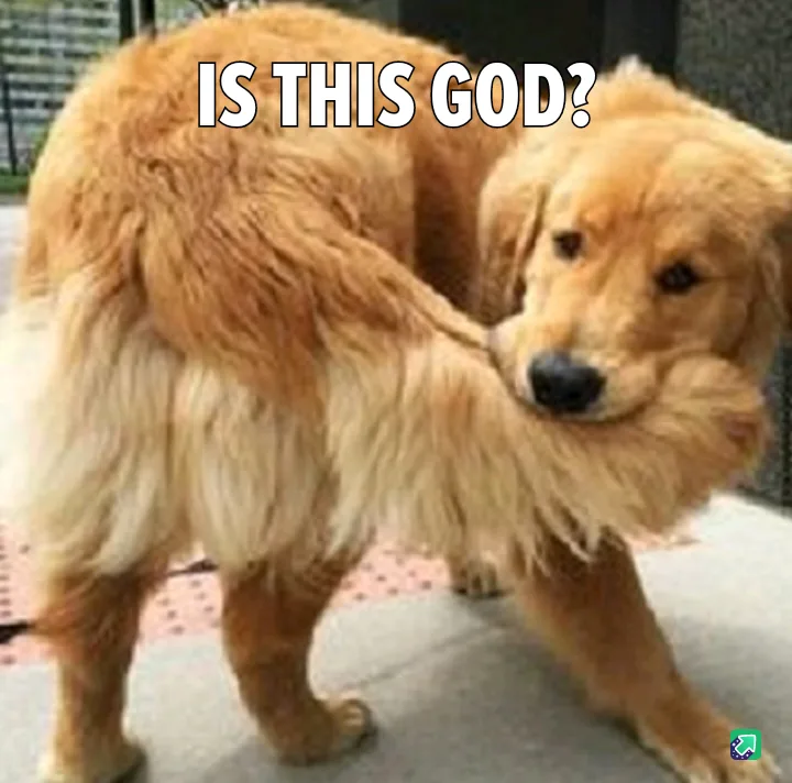 A golden retriever stands on a paved surface, its fluffy tail curled up and caught in its mouth, creating a humorous, almost…