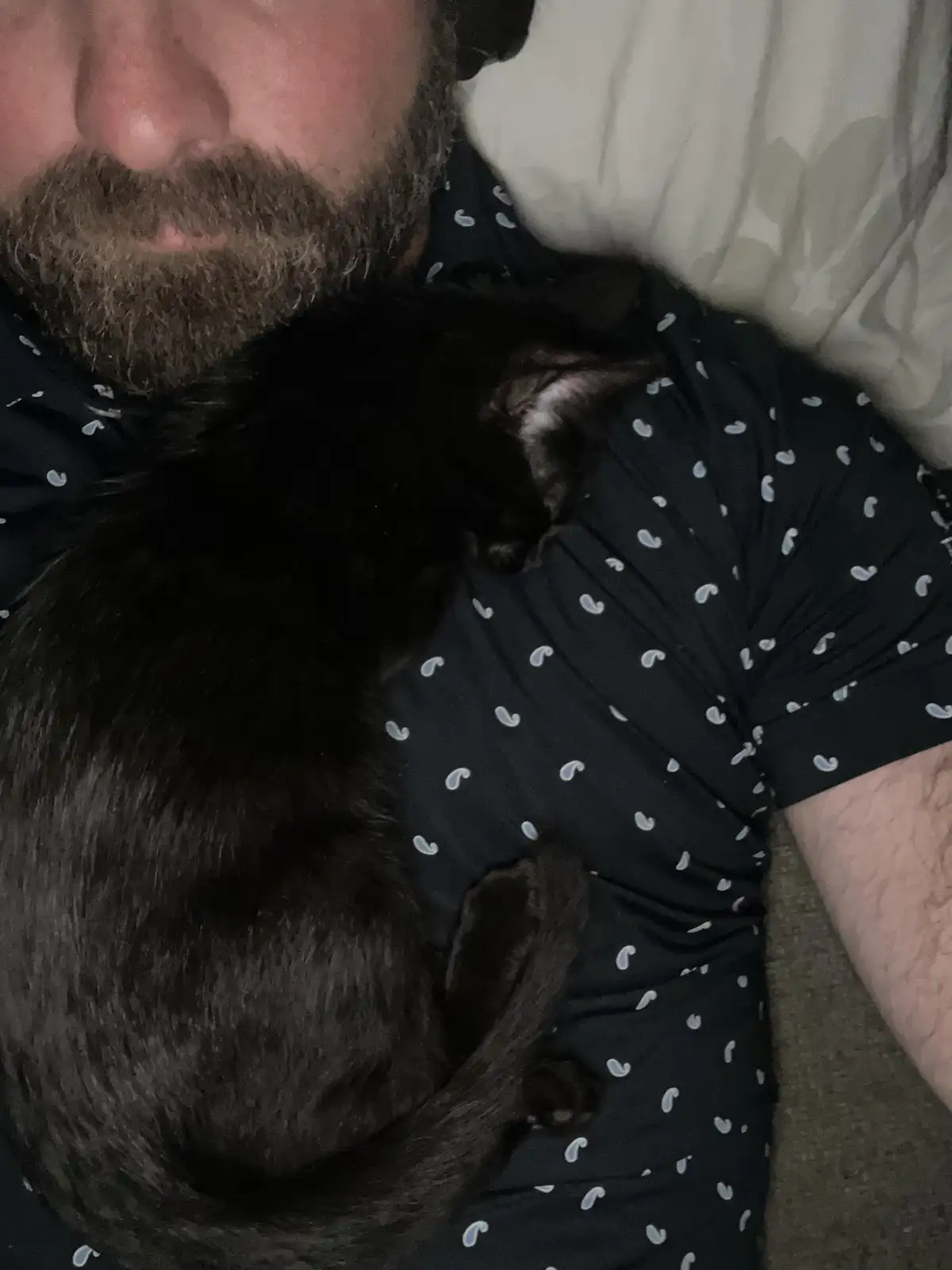 A close-up photo shows a man with a beard lying down, wearing a dark shirt with a paisley pattern, while a black cat sleeps…