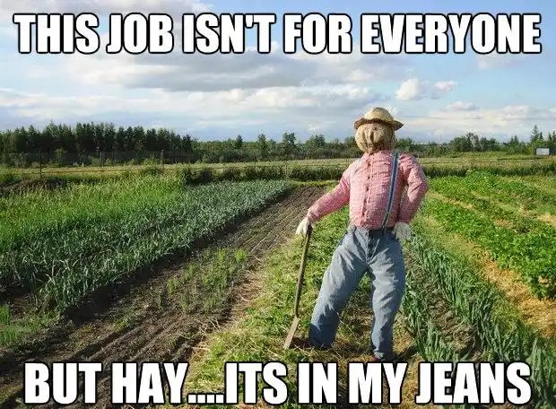 A scarecrow wearing a straw hat, pink shirt, and blue jeans stands in a field of crops, holding a hoe. The text overlaid on…